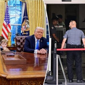 How is a political appointee different from a career federal employee?