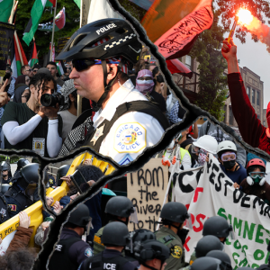 First on Fox: New study reveals ‘pro-Palestinian’ groups promote violence and anti-Americanism