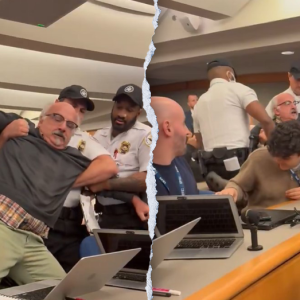 Activist dragged out of Blinken’s final press conference: ‘you’re hurting me!’