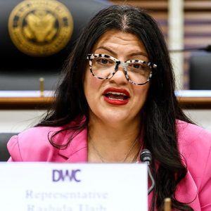 Tlaib under fire for working to unseat two Jewish House Democrats in Florida: ‘No coincidence’
