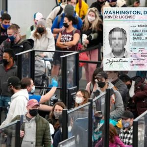 ‘We’re simply not ready’: REAL ID rollout could trigger national headache, state lawmaker warns