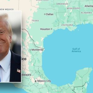 Google Maps, FAA officially acknowledges Gulf of America after Trump declaration: ‘Isn’t it beautiful?’