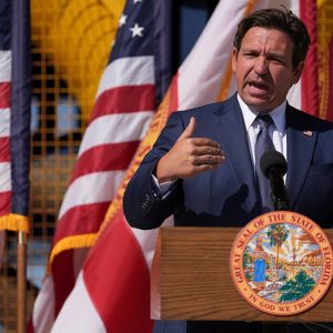 DeSantis announces Florida ‘DOGE task force’