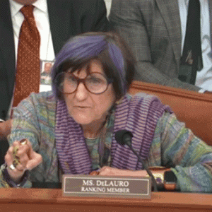 WATCH: Hearing derails as purple-haired Dem points finger, screams at chair to put DHS chief ‘in his place’