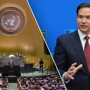 White House proposal axes UN, NATO funds and halves State Department budget