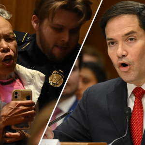 Rubio brushes off demonstrators who erupted in Senate hearing: ‘I get bilingual protesters’