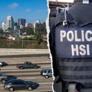 Illegal immigrant charged for allegedly ramming truck into federal officers in California