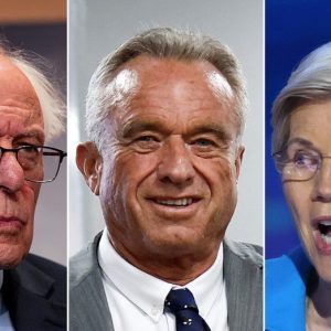 RFK Jr. to meet with slew of Dems including Elizabeth Warren, Bernie Sanders