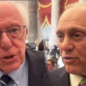 ‘America is back’: Lawmakers rally around Trump after ‘phenomenal’ joint address to Congress