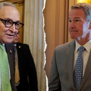 GOP senator’s gambit exposes false Dem claims about supporting voter ID