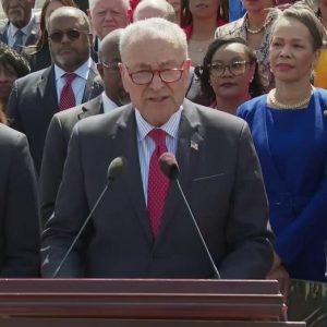 The ‘F-word’: Schumer says Trump’s first 100 days can be distilled to single utterance
