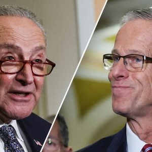 Senate showdown: GOP secures deal with Schumer to save coveted appellate judges for Trump