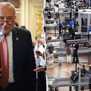 Democrats demanding ICE reforms lose airport escorts in shutdown they triggered