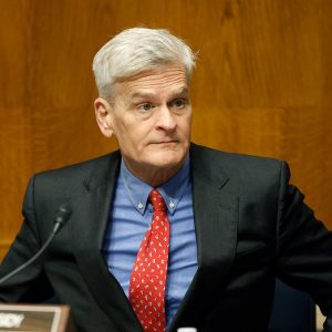 GOP senators launch task force to crack down on fraud tied to Minnesota scandal