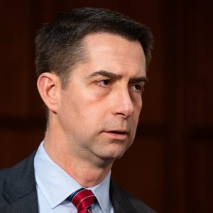 Senate Republican moves to give US an edge on China in harvesting minerals for weapons systems