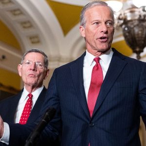 Thune-aligned groups unleash historic war chest to defend Senate majority: ‘Winning message’