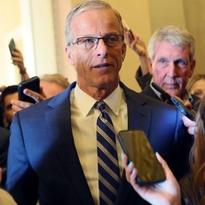 Thune guarantees voter ID bill to hit the Senate despite Schumer, Dem opposition: ‘We will have a vote’