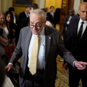 Schumer blocks 12th GOP bid to reopen government as Trump says Democrats ‘lost the negotiation’