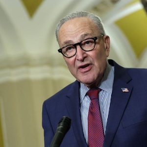Dems hand GOP fresh midterm weapon by opposing widely used voter ID