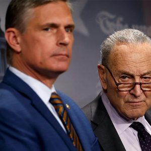 Democrats coordinate multi-state response to Trump’s funding freeze