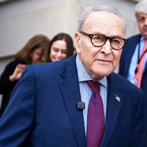 Dems vote to keep DHS closed despite airport chaos, Iranian sleeper cell threat