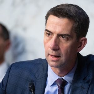 Sen Tom Cotton urges DOJ to probe Chinese bid to ‘kneecap’ American AI