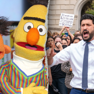 Democrats invoke children’s shows in bizarre defense of PBS, NPR: ‘Fire Elon, Save Elmo’