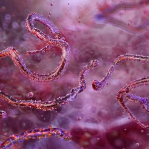 Rwanda begins vaccination drive to curb Marburg virus outbreak