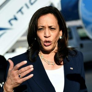 Harris failed to combat ‘root causes’ of illegal immigration, former Border Patrol union chief says