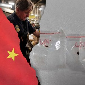 Chinese official claims no knowledge of fungus situation, says China requires citizens ‘abide by local laws’