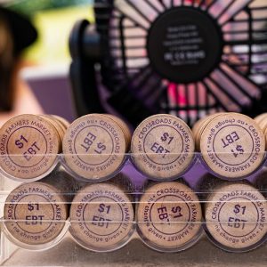 States sue Trump admin over billions in looming cuts to SNAP, food stamps