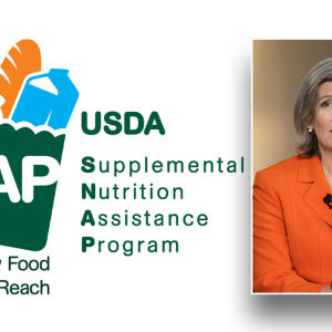 DOGE Chair Joni Ernst takes on food stamps in new bill to hold states ‘accountable’