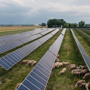 Solar company found to have ‘reaped billions’ from top Biden law leads to outcry: ‘Appeasing the rich’