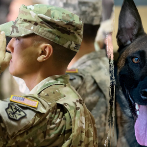 Fallujah vet turns Medal of Heroism into a healing mission for fellow warriors with service dogs program