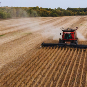 America’s quietest crop is set to take center stage in Trump-Xi talks
