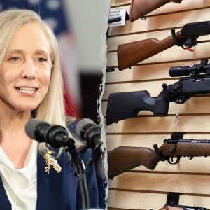 Virginia Dems send sweeping gun ban to Spanberger as West Virginia weighs expanding machine-gun access
