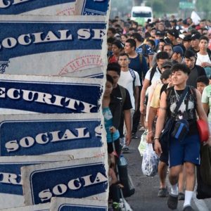 Musk shares ‘mind blowing’ chart showing millions of ‘noncitizens’ given Social Security numbers under Biden