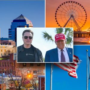 ‘America has DOGE fever’: States from NJ to TX draft similar initiatives as federal leaders celebrate
