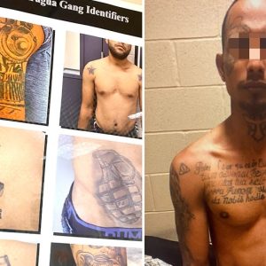 Top law enforcement official sounds alarm about bloodthirsty Venezuelan gang operating in red state