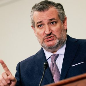 Republicans can fund ICE for an entire decade without a single Dem vote: Sen Cruz