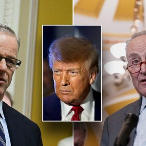 Senate GOP pushes Trump budget framework through after marathon vote series