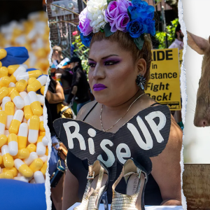 Trump admin cuts additional $1M in federal funding for ‘transgender animal’ experiments