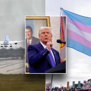 Trans European travelers warned by their countries about US travel amid Trump ‘two-sexes’ order