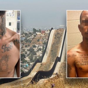 Tren de Aragua believed to be behind murder of immigration official near border