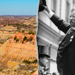 Interior Department plans AI Theodore Roosevelt exhibit for America250