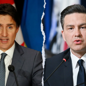 Growing conservative movement in Canada is fighting back against ‘California on steroids,’ says strategist