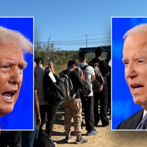 Less than a third of voters prefer Biden over Trump to handle immigration: poll