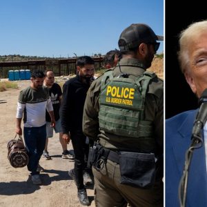 Significant majority believe Trump will ‘control illegal immigration’: poll