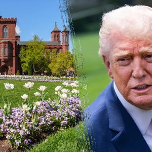 Trump calls Smithsonian ‘OUT OF CONTROL’ and orders sweeping review of all museums and programming