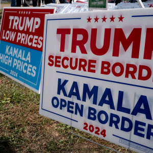 GOP outperformed Dems on voter registration in key battleground states, new analysis reveals